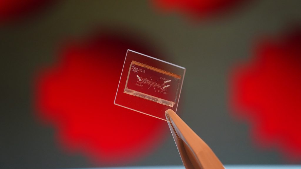 Imagine standing in your kitchen at home, feeling a little off colour. You grab a handheld device from the medicine cabinet and breathe into it, looking for an instant diagnosis of whatever you’re coming down with.
With our combs technology, this may one day become a reality.